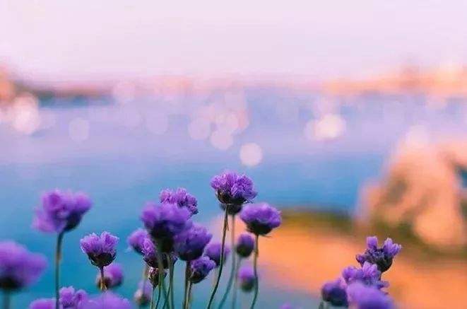 鋅鋼護(hù)欄十大品牌排名