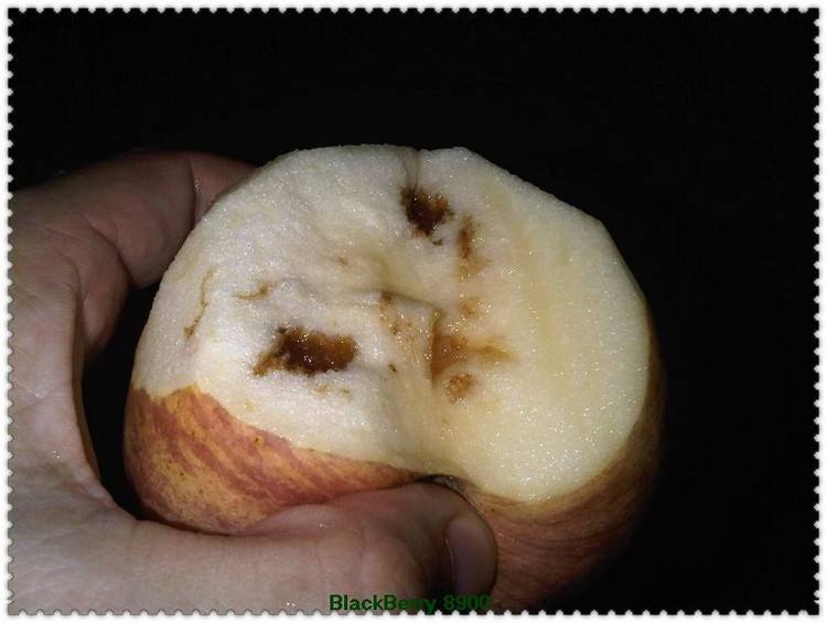 怎么樣選擇有實(shí)力的鋅鋼護(hù)欄廠家