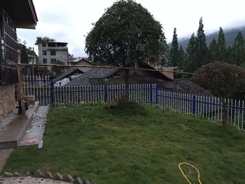 綠化鋅鋼護欄案例實拍 綠化鋅鋼護欄案例實拍