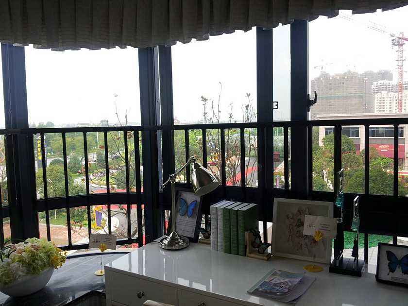 定制型飄窗護(hù)欄圖片